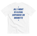 ALL I WANT IS ILLEGAL, EXPENSIVE OR BRUNETTE